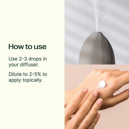 Niaouli 1,8-Cineole Essential Oil