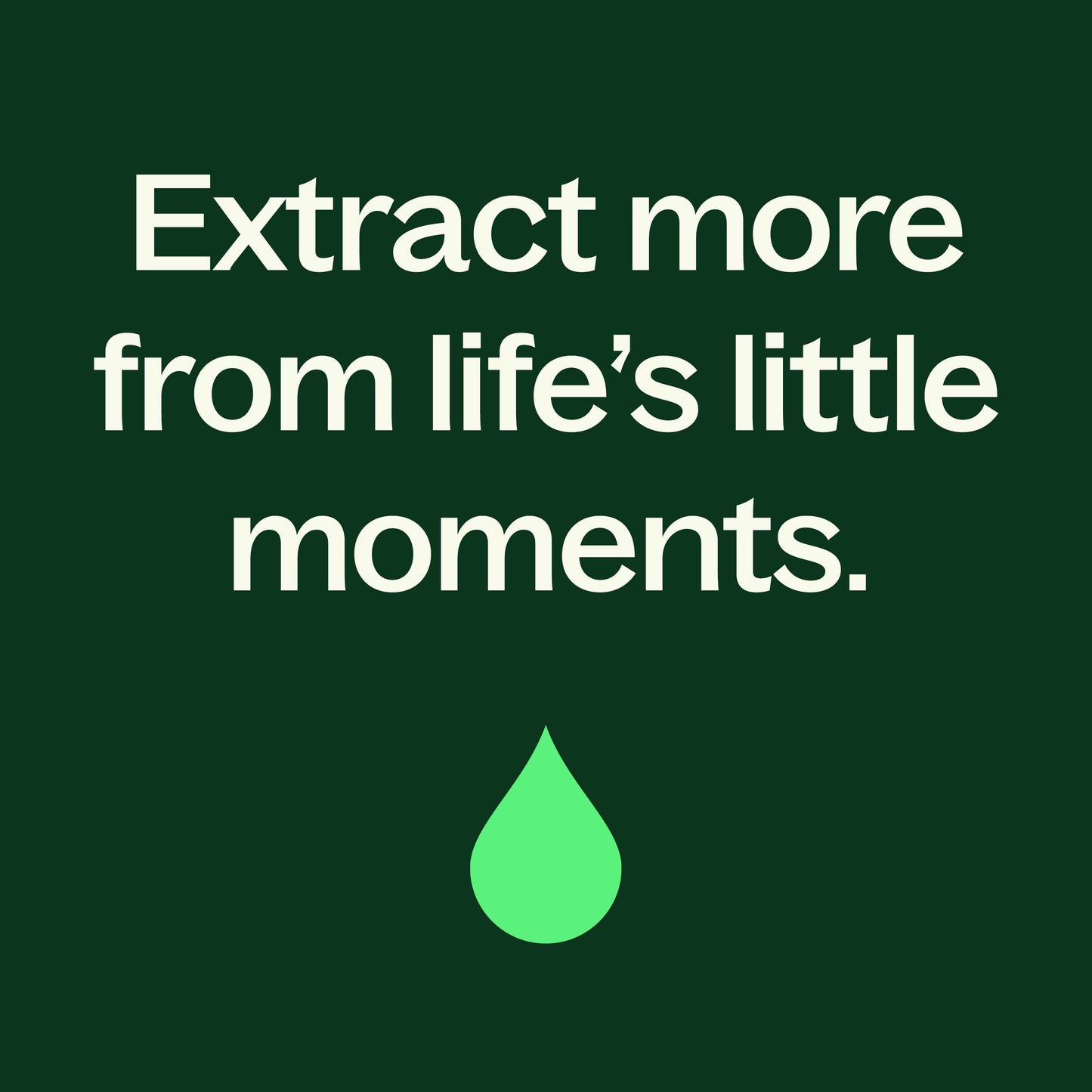 Palmarosa Essential Oil