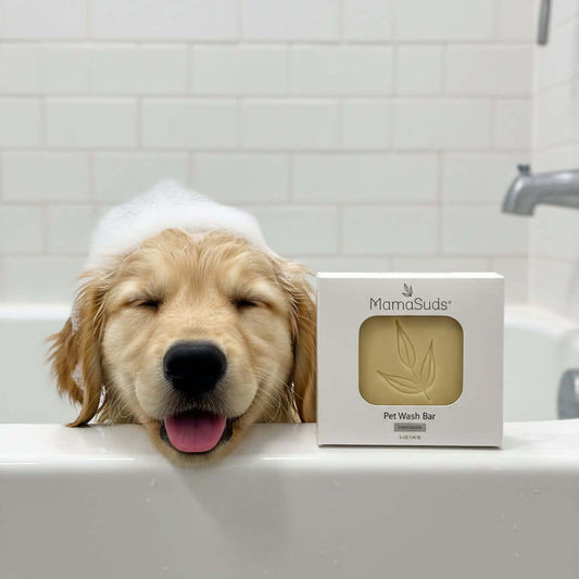 Pet Wash Bar Unscented