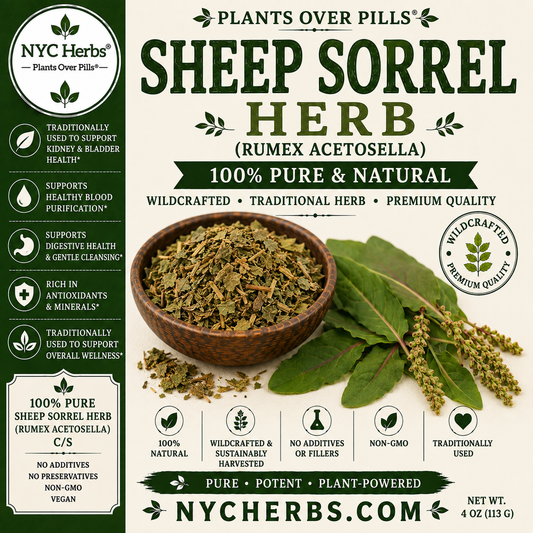 Sheep Sorrel