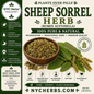 Sheep Sorrel