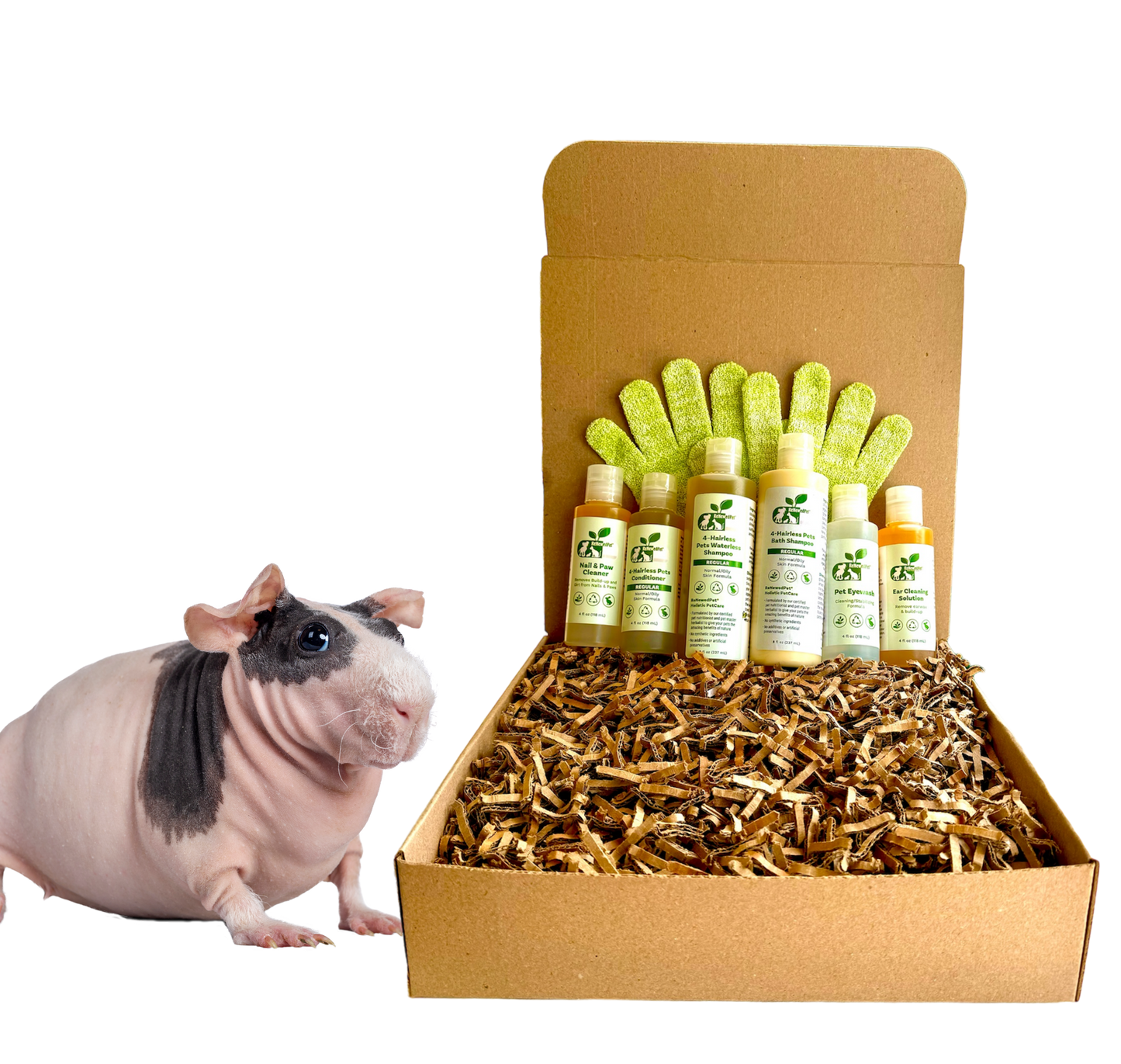 4-HAIRLESS PETS *SKINNYPIG REGULAR KIT