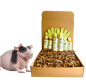 4-HAIRLESS PETS *SKINNYPIG REGULAR KIT