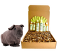 4-HAIRLESS PETS *SKINNYPIG SENSITIVE KIT