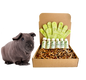 4-HAIRLESS PETS *SKINNYPIG SENSITIVE KIT