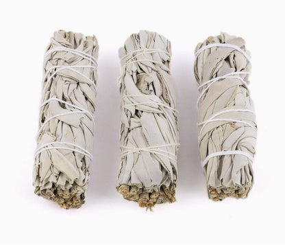 Sage Herb