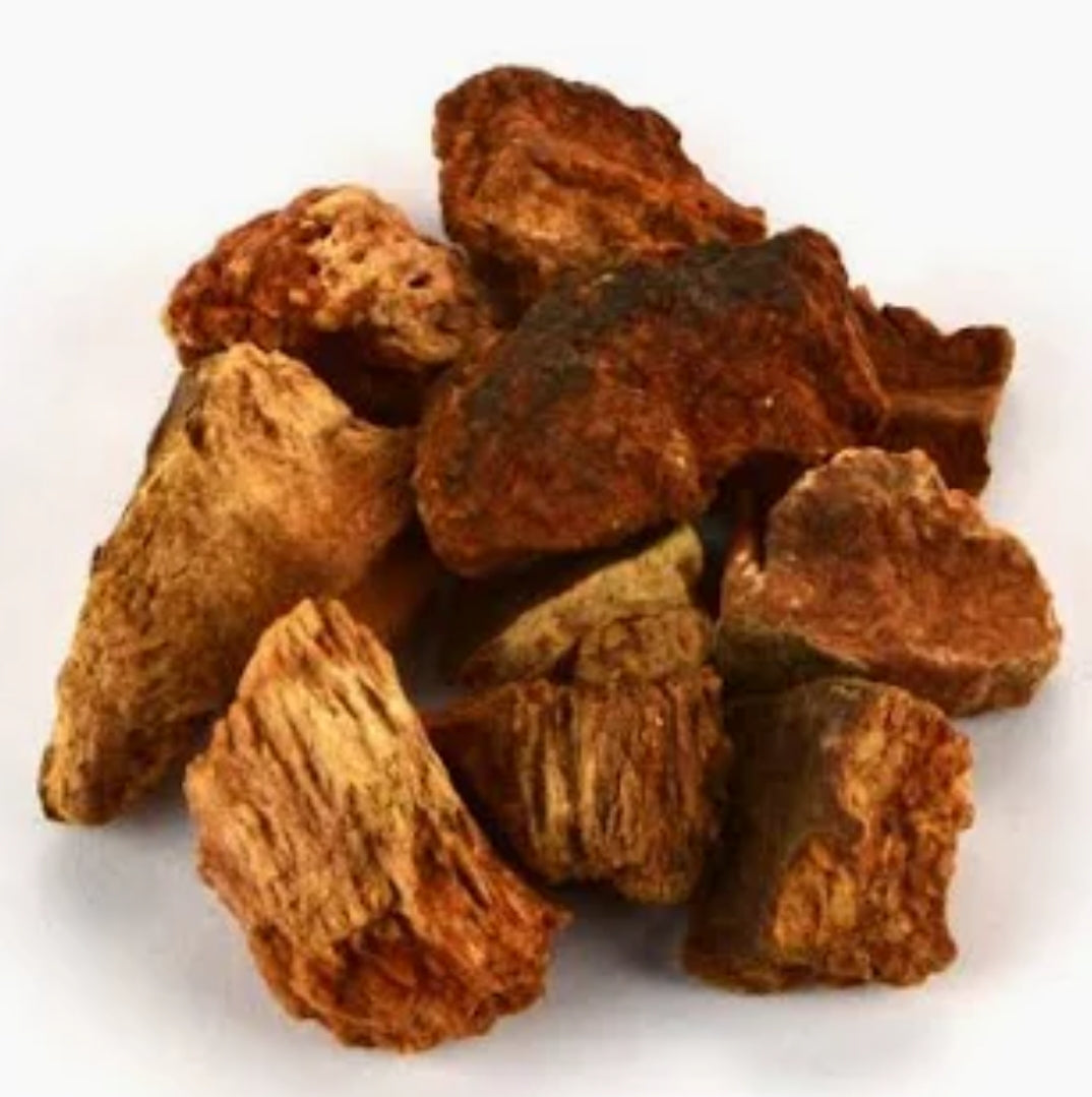 Cinchona Bark | Digestive Tonic & Immune Defense
