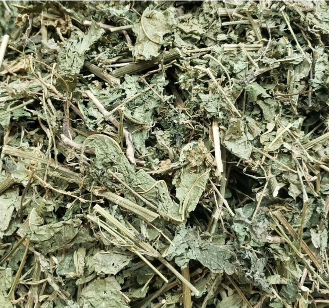 Jamaican Guinea Hen Weed (Anamu) | Immune Support & Traditional Healing