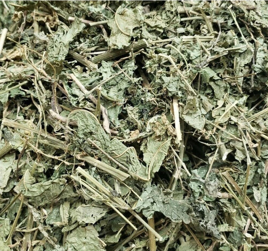 Jamaican Guinea Hen Weed (Anamu) | Immune Support & Traditional Healing