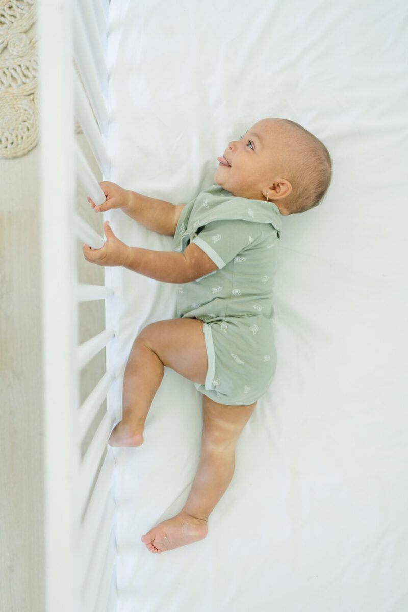 GOTS Certified Organic Cotton Short Sleeve Bodysuit - Freshwater Snail