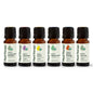 Top 6 Organic Singles Essential Oil Set
