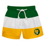 Vive La Fete - Southeastern Lions Green White Gold Stripes Swimtrunks
