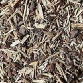 White Pine Bark | Respiratory, Circulatory & Immune Support