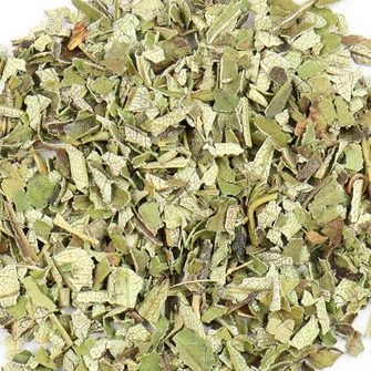 Yerba Mate | Natural Energy, Focus & Metabolic Support