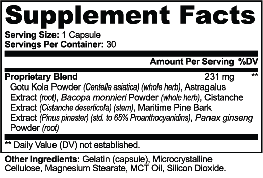 Balanced Bayou Brainwave natural nootropic capsules bottle for mental clarity and focus