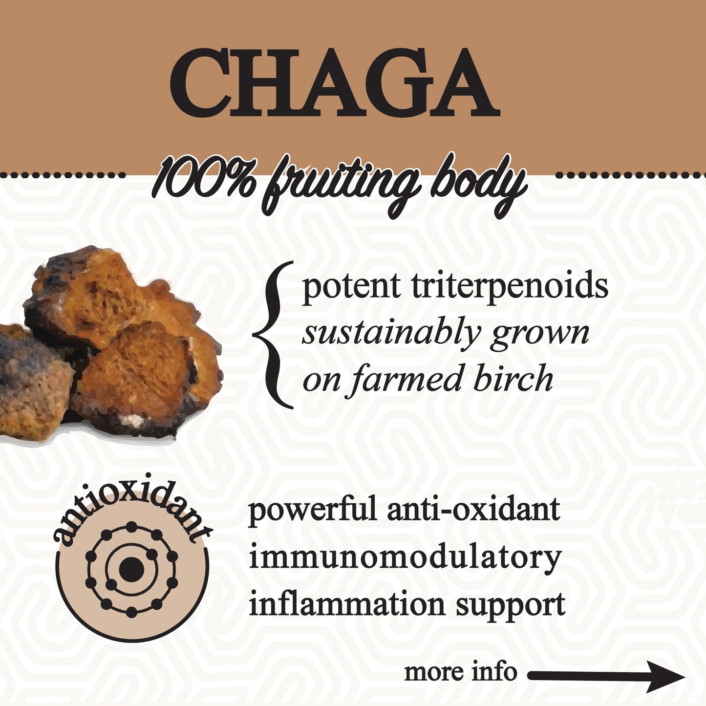 adaptive cacao. performance superfood.