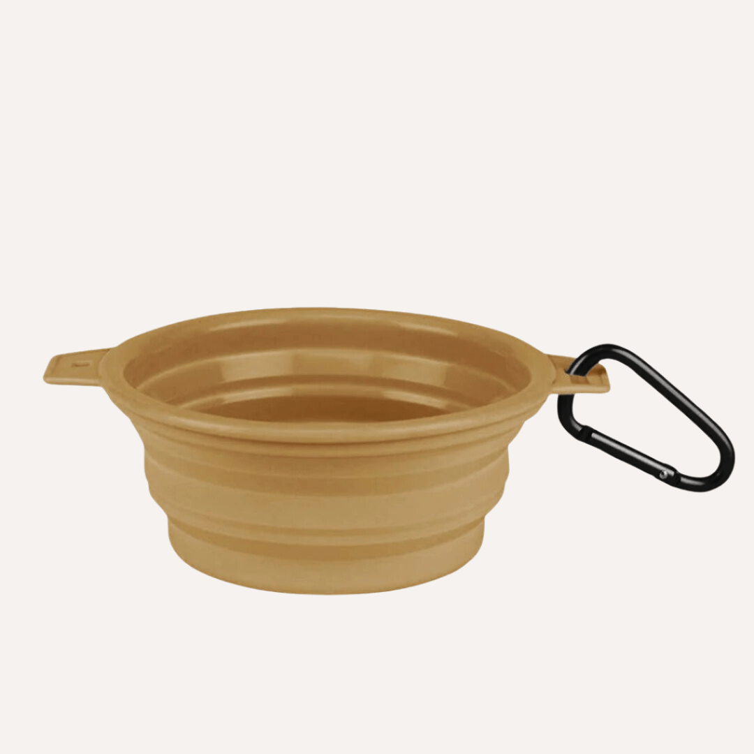 Tilley + Me Collapsible Travel Pet Bowl with Clip – Compact, Reusable and Easy to Clean