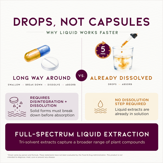 Turmeric Root Tincture