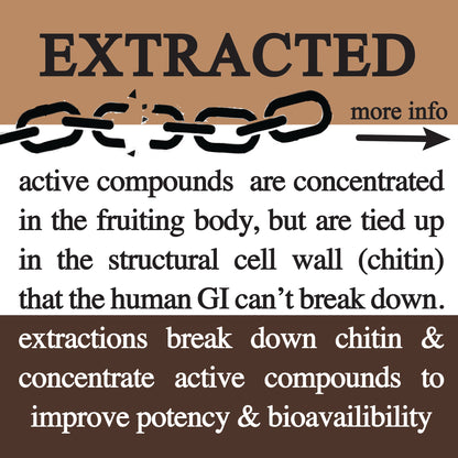 adaptive cacao. performance superfood.