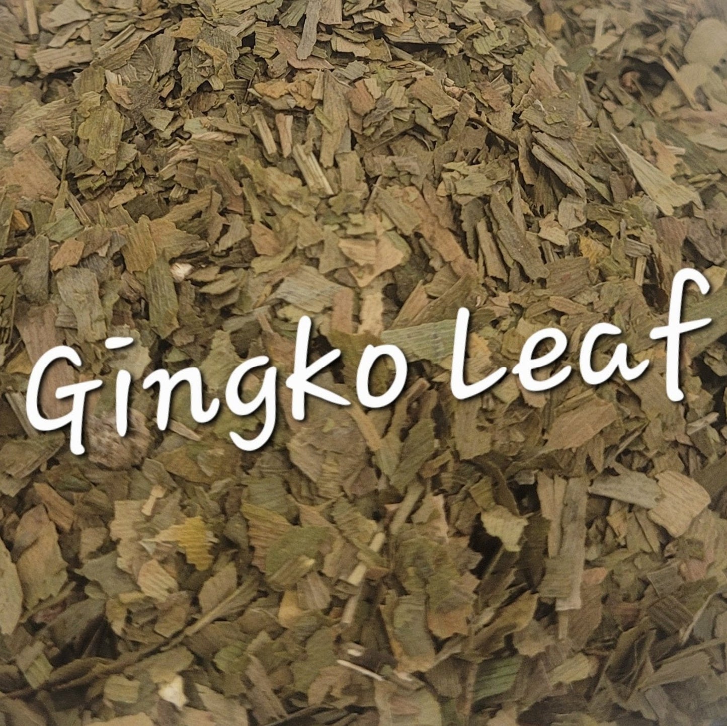 Ginkgo Biloba | Memory & Circulatory Support