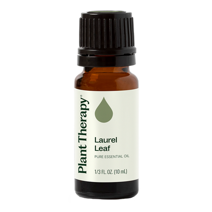 Laurel Leaf Essential Oil