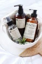 Aloe + Vitamin E Hand + Body Lotion | All-over Natural Skin Moisturizer