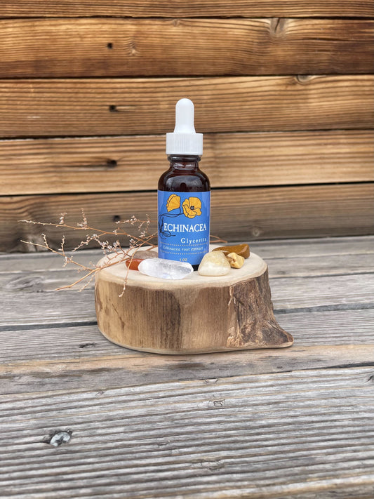 Echinacea Root Glycerite, 1 oz bottle