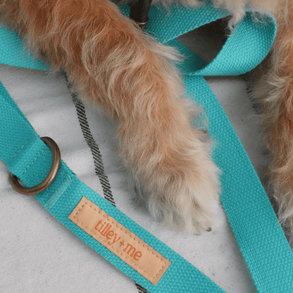 Malibu Sunset Sustainable Hemp Cotton Adjustable Dog Collar– Durable & Soft