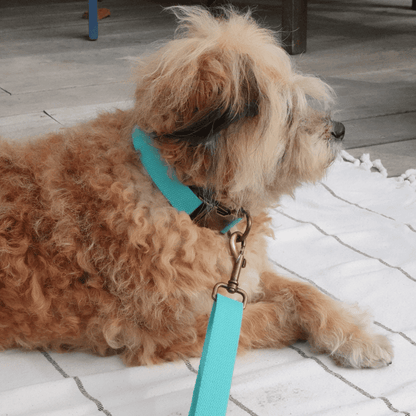 Malibu Sunset Sustainable Hemp Cotton Adjustable Dog Leash – Durable & Soft