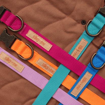 Malibu Sunset Sustainable Hemp Cotton Adjustable Dog Leash – Durable & Soft