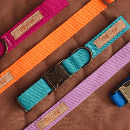 Malibu Sunset Sustainable Hemp Cotton Adjustable Dog Leash – Durable & Soft