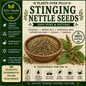 Stinging Nettle Seed | Kidney Strength & Adrenal Support
