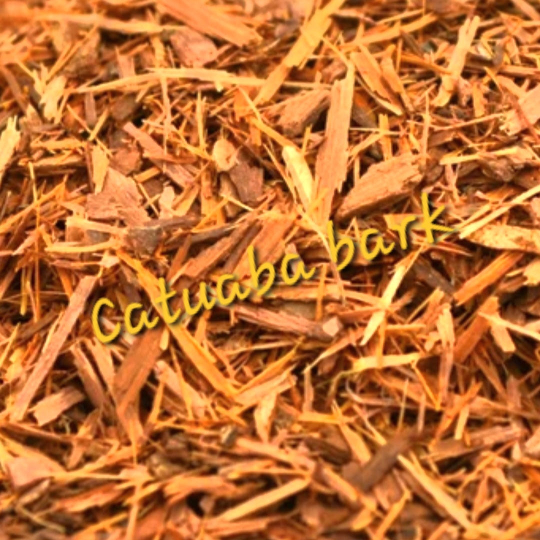 Catuaba Bark | Vitality, Stamina & Aphrodisiac Support