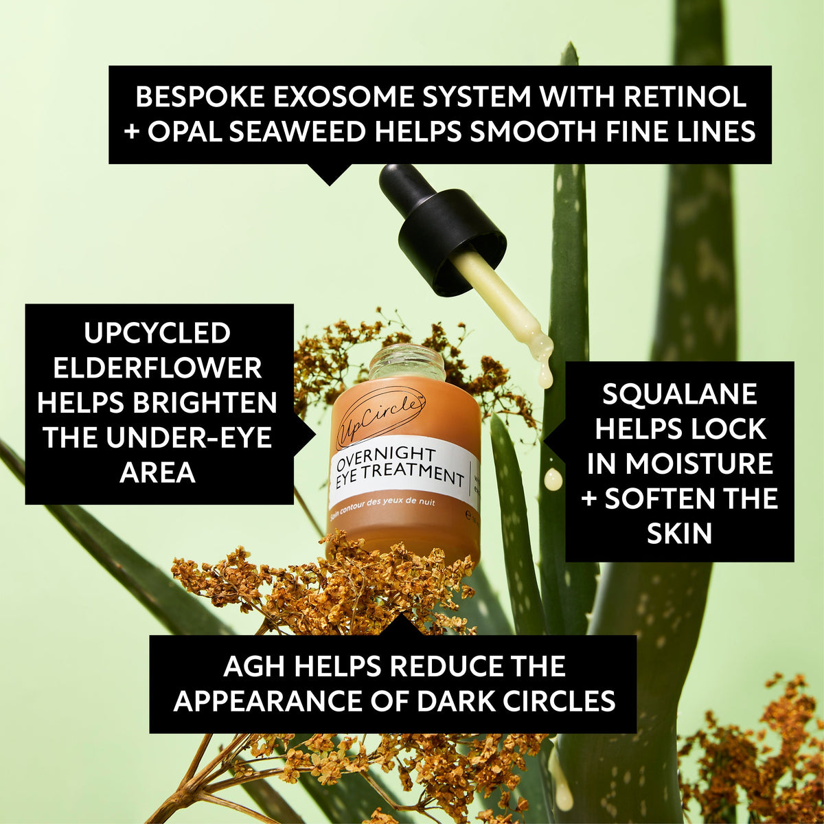 Day + Night Eye Care Bundle