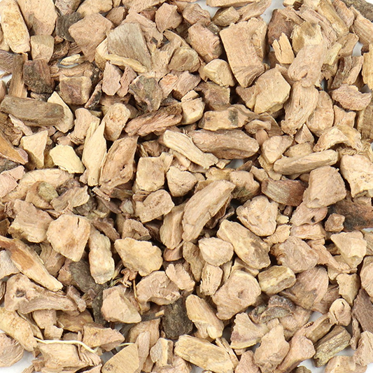 Red Root | Lymphatic & Circulatory Support