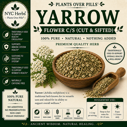 Yarrow Flower | Resilience, Circulatory Balance & Healing