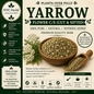 Yarrow Flower | Resilience, Circulatory Balance & Healing