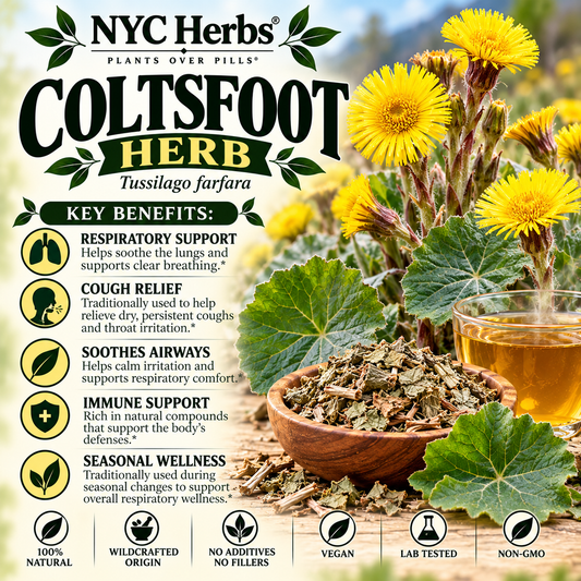 Coltsfoot