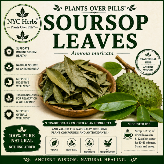 Soursop Leaves (Graviola) | Immune, Cellular & Antioxidant Support