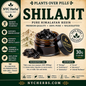 Himalayan Shilajit 30g jar | Vitality, Energy & Longevity