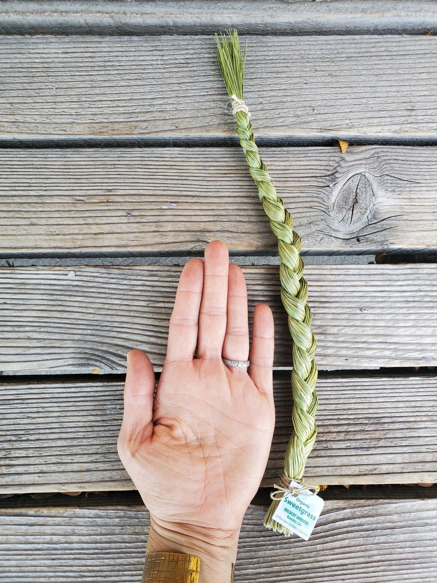 Sweetgrass Braid