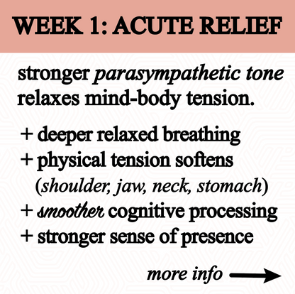 anxiety tincture.